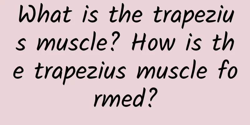 What is the trapezius muscle? How is the trapezius muscle formed?