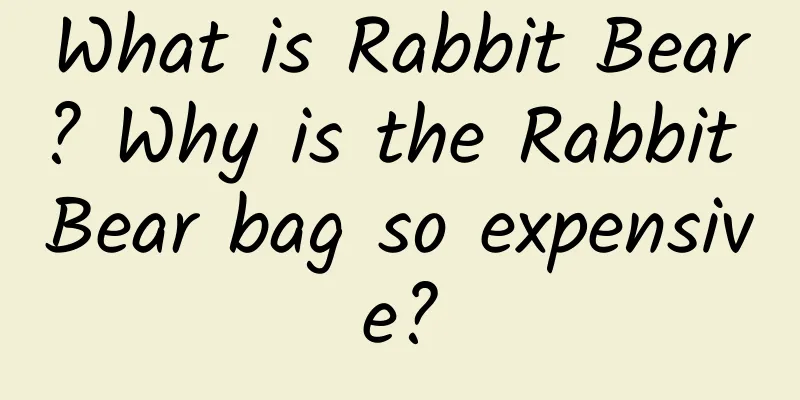 What is Rabbit Bear? Why is the Rabbit Bear bag so expensive?