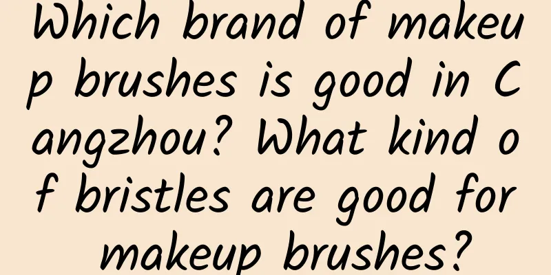 Which brand of makeup brushes is good in Cangzhou? What kind of bristles are good for makeup brushes?