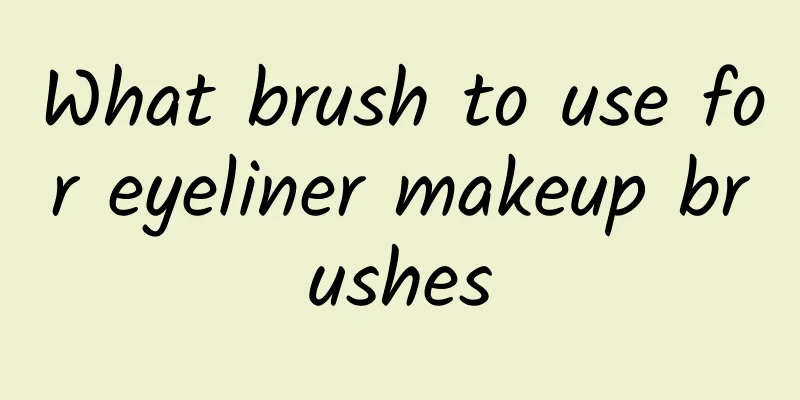 What brush to use for eyeliner makeup brushes
