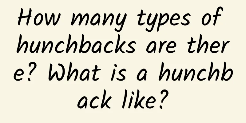 How many types of hunchbacks are there? What is a hunchback like?