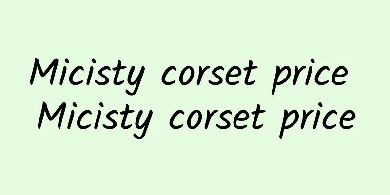 Micisty corset price Micisty corset price