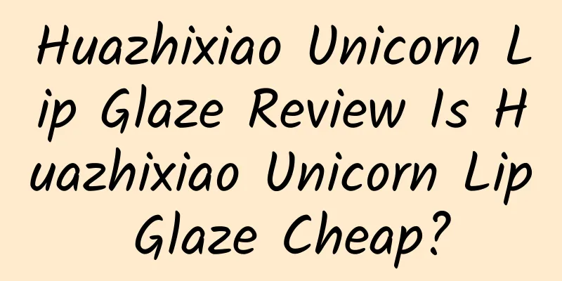 Huazhixiao Unicorn Lip Glaze Review Is Huazhixiao Unicorn Lip Glaze Cheap?