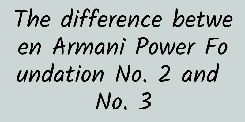 The difference between Armani Power Foundation No. 2 and No. 3