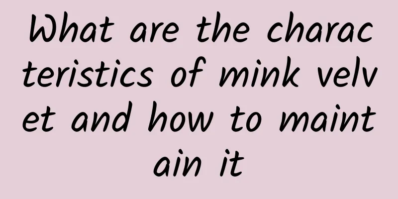What are the characteristics of mink velvet and how to maintain it