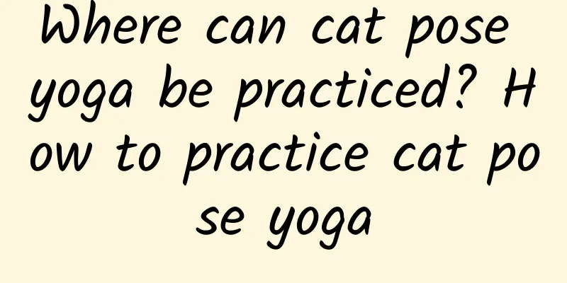 Where can cat pose yoga be practiced? How to practice cat pose yoga