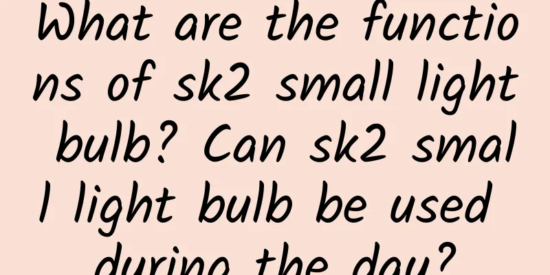 What are the functions of sk2 small light bulb? Can sk2 small light bulb be used during the day?