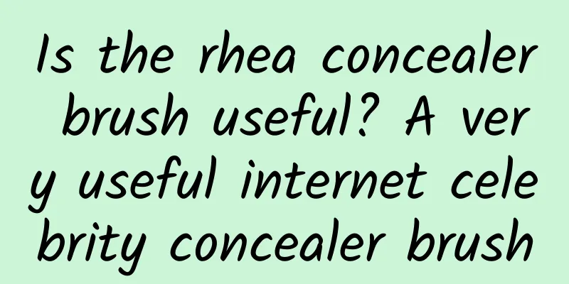 Is the rhea concealer brush useful? A very useful internet celebrity concealer brush