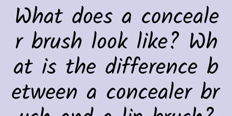 What does a concealer brush look like? What is the difference between a concealer brush and a lip brush?