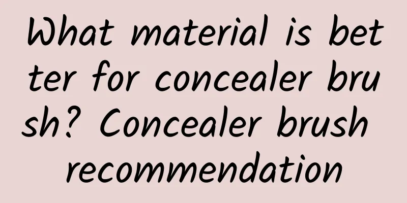 What material is better for concealer brush? Concealer brush recommendation