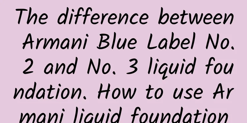 The difference between Armani Blue Label No. 2 and No. 3 liquid foundation. How to use Armani liquid foundation