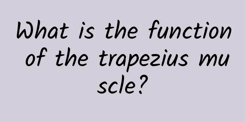 What is the function of the trapezius muscle?