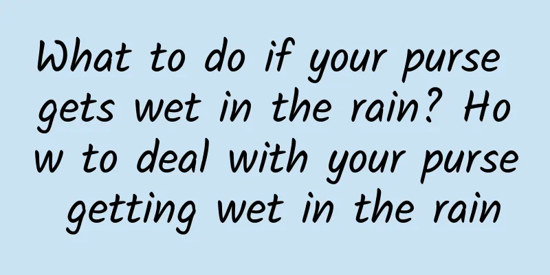 What to do if your purse gets wet in the rain? How to deal with your purse getting wet in the rain