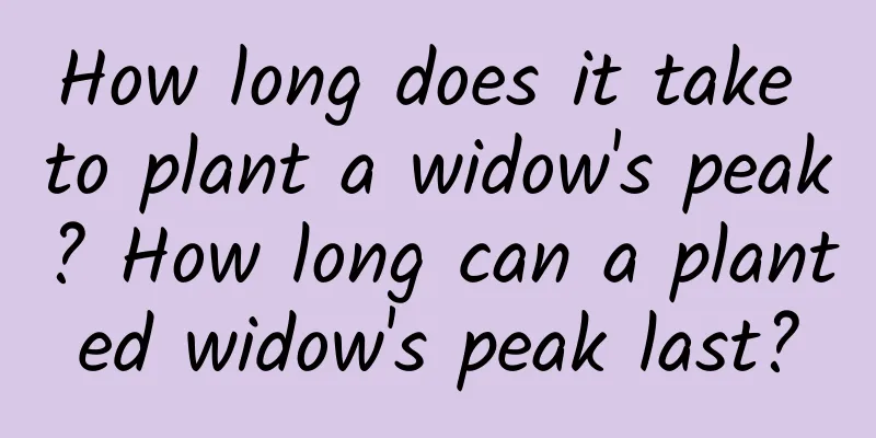 How long does it take to plant a widow's peak? How long can a planted widow's peak last?