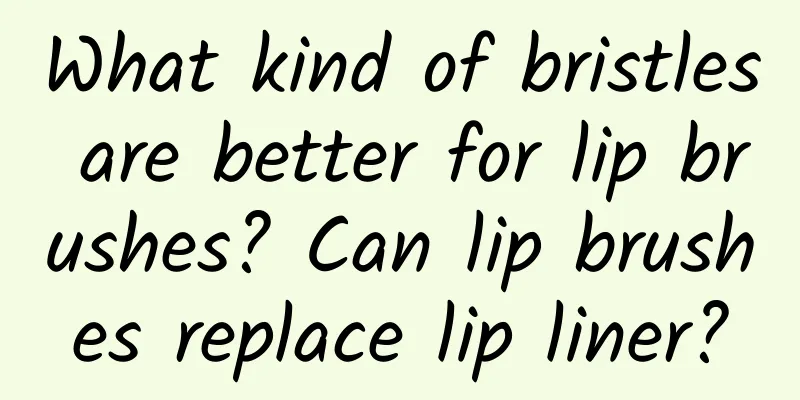 What kind of bristles are better for lip brushes? Can lip brushes replace lip liner?