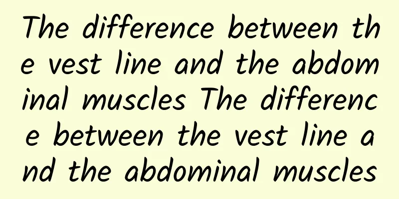 The difference between the vest line and the abdominal muscles The difference between the vest line and the abdominal muscles