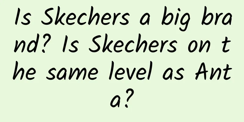 Is Skechers a big brand? Is Skechers on the same level as Anta?
