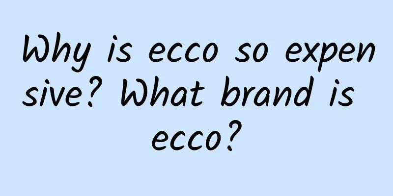 Why is ecco so expensive? What brand is ecco?