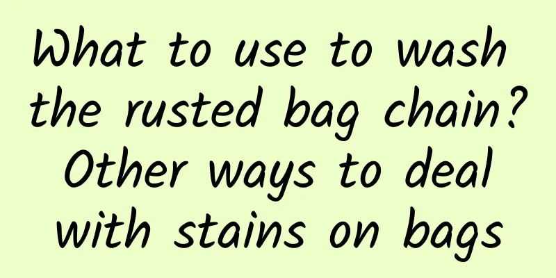 What to use to wash the rusted bag chain? Other ways to deal with stains on bags