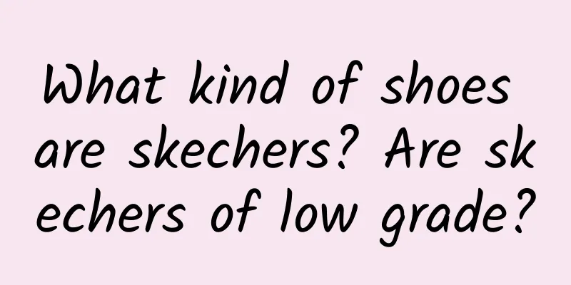What kind of shoes are skechers? Are skechers of low grade?