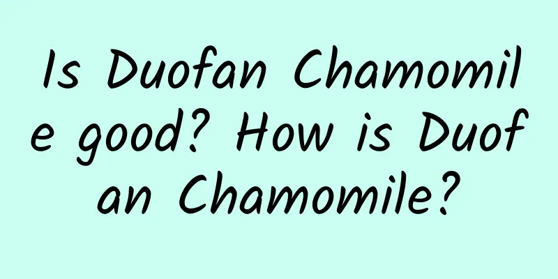 Is Duofan Chamomile good? How is Duofan Chamomile?