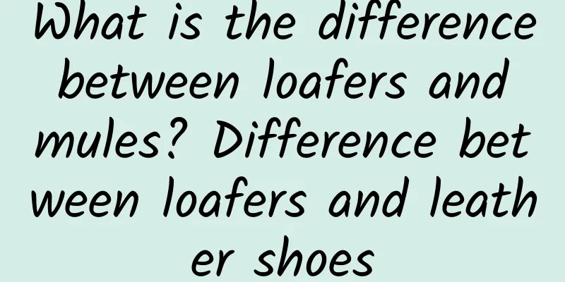 What is the difference between loafers and mules? Difference between loafers and leather shoes