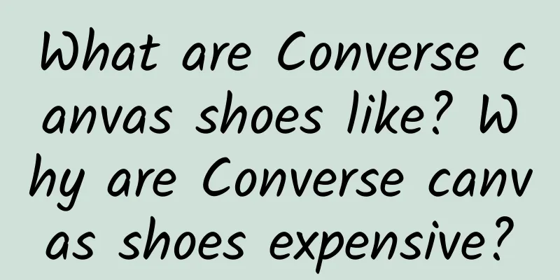 What are Converse canvas shoes like? Why are Converse canvas shoes expensive?