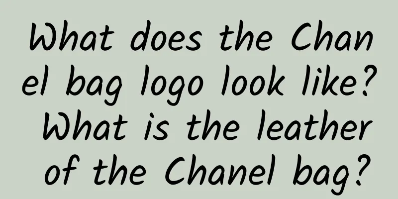 What does the Chanel bag logo look like? What is the leather of the Chanel bag?