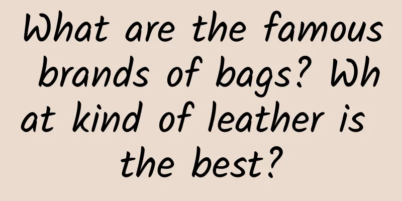 What are the famous brands of bags? What kind of leather is the best?