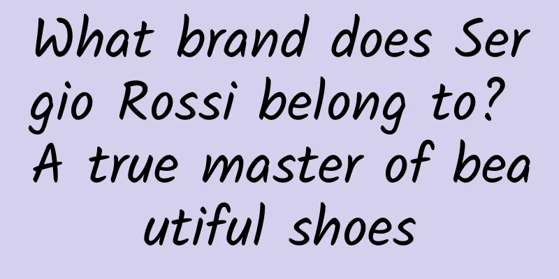 What brand does Sergio Rossi belong to? A true master of beautiful shoes