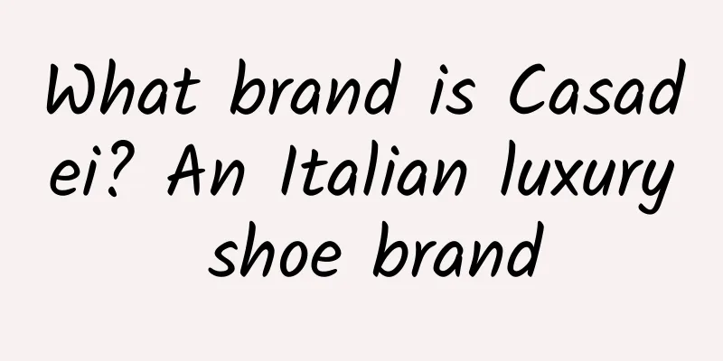 What brand is Casadei? An Italian luxury shoe brand